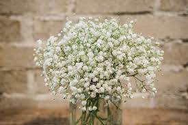 Typically marijuana flowers are sold by the eighth in america, which equals 3.5 grams. Baby S Breath Bouquet Cost Off 79 Buy
