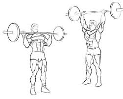 Resultado de imagem para overhead presses
