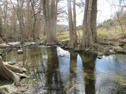 Cibolo Creek Cibolo Nature Preserve Boerne Tx Picture Of Cibolo Nature Center Boerne Tripadvisor