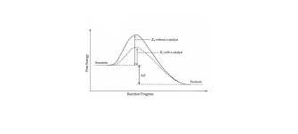 If we take the reaction between magnesium and hydrochloric acid, in order for them to react together: If A Catalyst Is Used In A Reaction A The Energy Of Activation Increases B Different Reaction Brainly Com