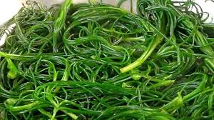 Maybe you would like to learn more about one of these? Agretti Che Ortaggio Che Barba Che Barba Che Ortaggio Chef In Camicia