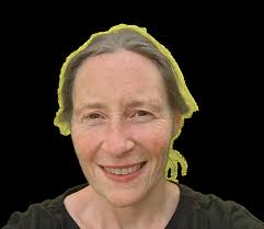 CONTINUOUS PROFESSIONAL DEVELOPMENT PROGRAMME