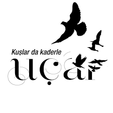 kuslar da kaderle ucar cahit zarifoglu sozler anlamlisozler guzelsozler manalisozler ozlusozler alinti alintilar al kus sozleri kader ozlu sozler