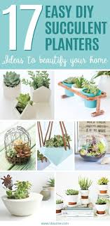 17 Easy Diy Indoor Succulent Planter Ideas To Beautify Your Home Ideal Me Indoor Succulent Planter Succulent Garden Indoor Succulent Planter Diy