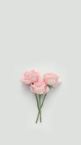 See more ideas about flower wallpaper, flower aesthetic, flowers photography. Wallpaper Wallpaperideas Floral Wallpaper Rose Wallpaper Flower Wallpaper