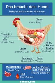 Barfen Fur Anfanger Die Komplette Anleitung Hundefutter Hunde Futter Muskelfleisch
