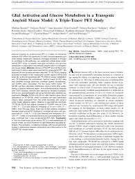 Pdf Glial Activation And Glucose Metabolism In A Transgenic Amyloid Mouse Model A Triple Tracer Pet Study