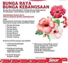Read reviews and view photos. 10 Keistimewaan Bunga Raya Malaysia Sebagai Manfaat Kepada Manusia Bidadari My