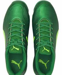 Image result for Puma 20