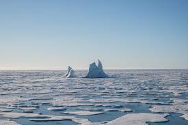 Arctic Ocean Passes Irreversible Tipping Point, Disrupting Food Chain
