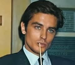 Pretty Boy or Manly Man? : r/VindictaRateCelebs