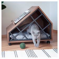 Pet Ture Instagram Panosundaki Pin