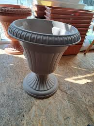 Image result for Holubia