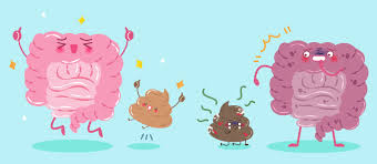 Image result for blood in stool human poop