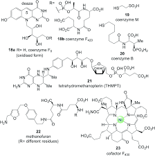 Maybe you would like to learn more about one of these? The Coenzyme Protein Pair And The Molecular Evolution Of Life Natural Product Reports Rsc Publishing