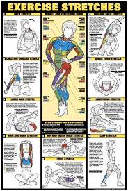 17 Bodybuilding Chest Exercises Chart Hd Exercise Chart Hd