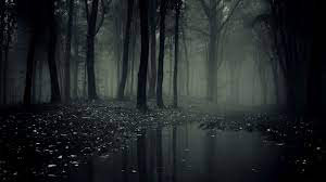 We did not find results for: Spooky Forest Wallpapers Wallpaper Cave