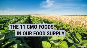 Genetic engineering appraisal committee (gmac) it is constituted under the rule of the manufacture use, export/import and storage of hazardous microorganisms or cells,1989. Genetically Modified Organisms And Our Food Supply Food Insight