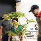 Spring Bonsai Show