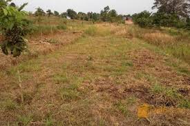 Jual tanah kapling di ampera pontianak. Jual Tanah Kosong Strategis Lokasi Cijamil Bandung Barat Kab Bandung Barat Jualo