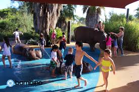 Hippo Splash Park Werribee Zoo Splash Park Water Fun Water Park