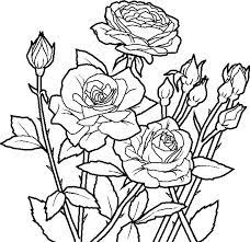 Floral Coloring Pages Flower Coloring Pages Rose Flower Coloring Pages Roses And Flowers Colori Rose Coloring Pages Flower Coloring Pages Garden Coloring Pages