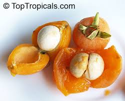 Ela pode ser consumida ao natural ou na forma de sucos, doces e sorvetes. Frutas Cultivadas En Venezuela Pagina 4