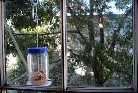 Start with an empty, clean milk or water jug. How To Make A Recycled Birdfeeder Inhabitat Green Design Innovation Architecture Green Building