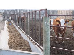 Pin De Cielo En Finca En 2020 Rancho De Ganado Bebederos Para Ganado Animales Bovinos