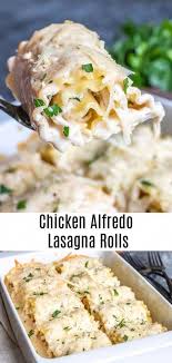 Chicken Alfredo Lasagna Roll Ups Recipe In 2020