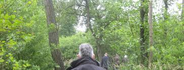 Wwf Lanceert Op 60ste Verjaardag Fonds Voor Natuur Bij Ons Vilt Vzw