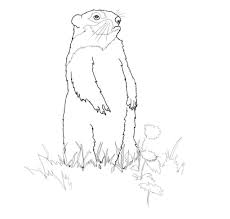 Groundhog or woodchuck coloring pages. Groundhog Coloring Pages Dibujo Para Imprimir Printable Groundhog Day Coloring Pages Dibujo Para Imprimir