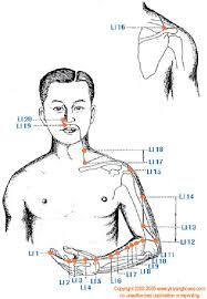Unable to express our grief, a vicious cycle can take place. Large Intestine Meridian 4 Download Scientific Diagram