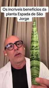 #espadadesaojorge #wellness #qualidadedevida #saudeebemestar #longevidade