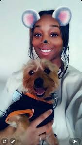 Lost black cat with white markings in Grandview