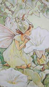 New Flower Fairy Morning Glory Panel Flower Fairies Fairy Fairy Art