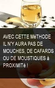 Avec Cette Methode Il N Y Aura Pas De Mouches De Cafards Ou De Moustiques A Proximite Moustique Trucs Et Astuces Maison Produit Menager Fait Maison