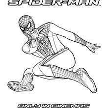 Dibujos Para Colorear The Amazing Spiderman Agachado Es Hellokids Com Amazing Spiderman Paginas Para Colorear Dibujos Para Colorear