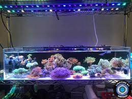 Or 120 90 60 Reef Bar Led Light Orphek Reef Aquarium Led Lighting