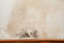 We left it to dry and halleluja all dry!! Why Do I Get Damp Patches On Internal Walls