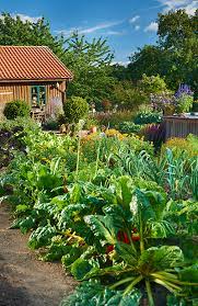 Before + after school care. Wolf Garten Wilder Garten Geordnetes Chaos