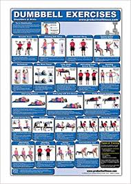 laminated dumbbell exercise poster chart shoulders and