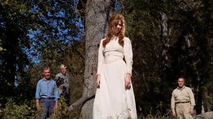 Let's Scare Jessica to Death – FILM FEST KNOX | November 12-15, 2026