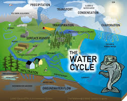 The earth would be a. The Water Cycle And You Article The United States Army