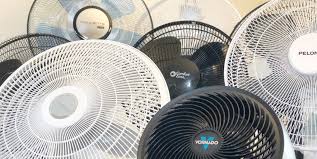 The Best Pedestal Fan | Lab Tested & Ranked