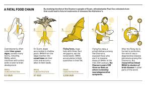 Monthly contributions support world relief to serve refugees and the most . Could This Radical New Approach To Alzheimer S Lead To A Breakthrough Fortune