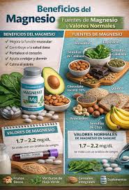 BENEFICIOS DEL MAGNESIO 🧠💪💛 El magnesio es un mineral esencial que participa en más de 300 funciones del cuerpo. Mantenerlo en niveles adecuados es clave para tu energía, tus músculos y tu