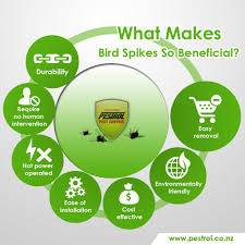 The best pest control services will be willing to set up a plan that is specific to your needs, taking into consideration the size of your home, the level of infestation and if you request a free inspection and a price quote for service, you'll find that almost all exterminators work past sunset and on weekends. A Complete Guide To Bird Pests Lifestyle Focus Best Pest Control Pest Control Flea Prevention