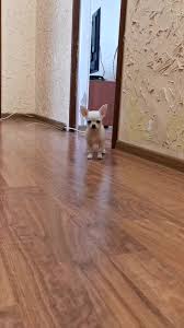 Видео от inga zhukova watch online