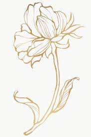 Get editable svg and png vectors with transparent background | edit colors online | personal & commercial use | also download in eps or psd Gold Flower Outline Transparent Png Premium Image By Rawpixel Com Nunny Leaf Outline Flower Outline Flower Drawing